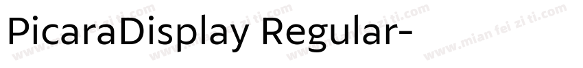 PicaraDisplay Regular字体转换